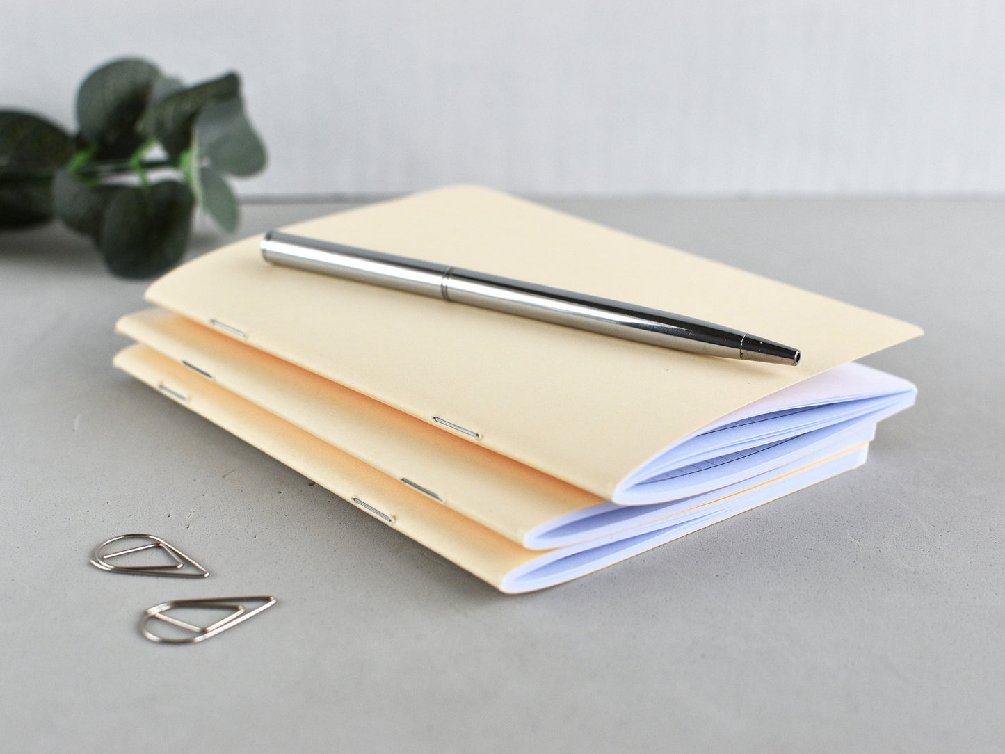 Monthly Planner Insert - Traveler's Notebook (Passport Size) TN-Pas-12m