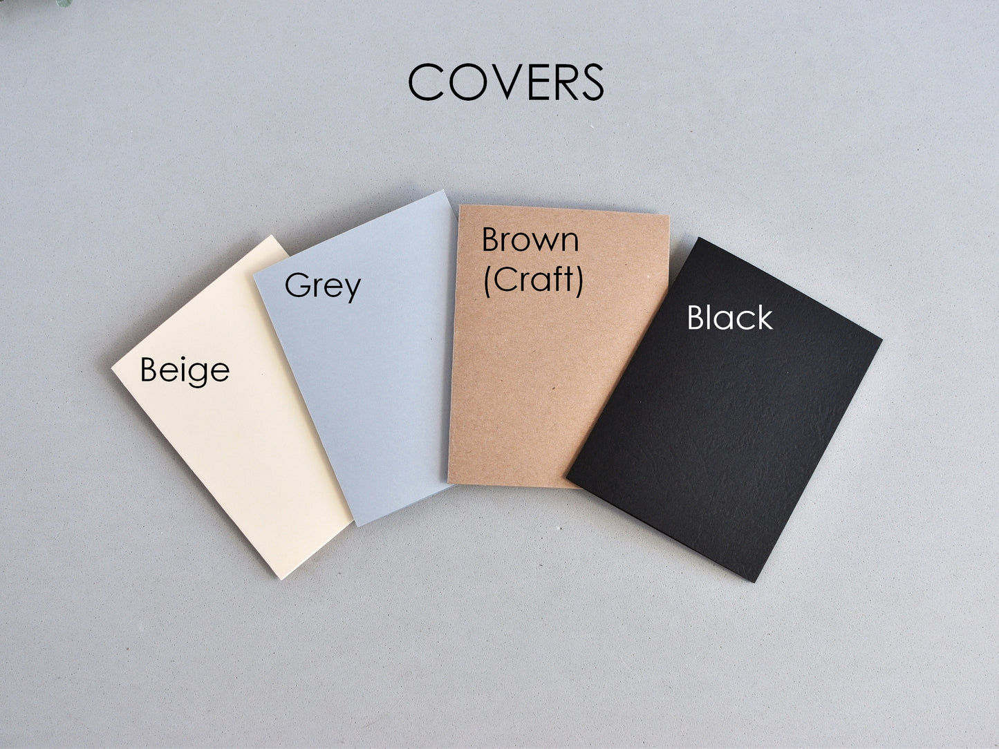 Monthly Planner Insert - Traveler's Notebook (Passport Size) TN-Pas12m