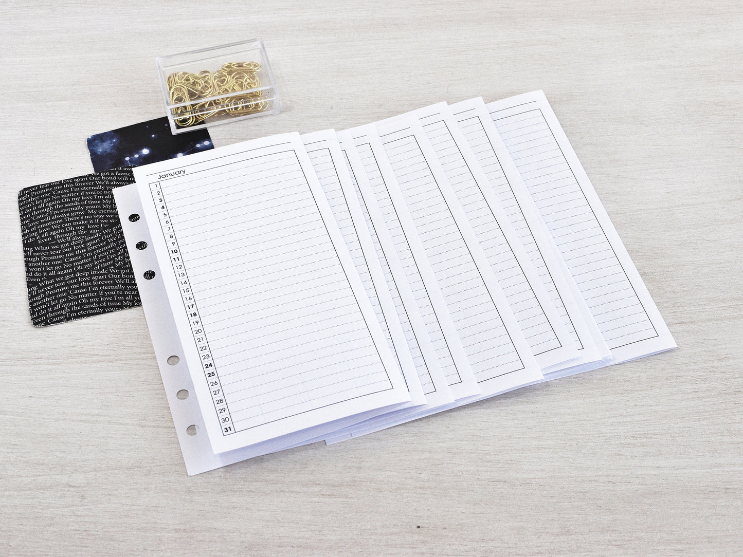 Monthly Fold Out Inserts for Ring Planner (Personal Size) / P20