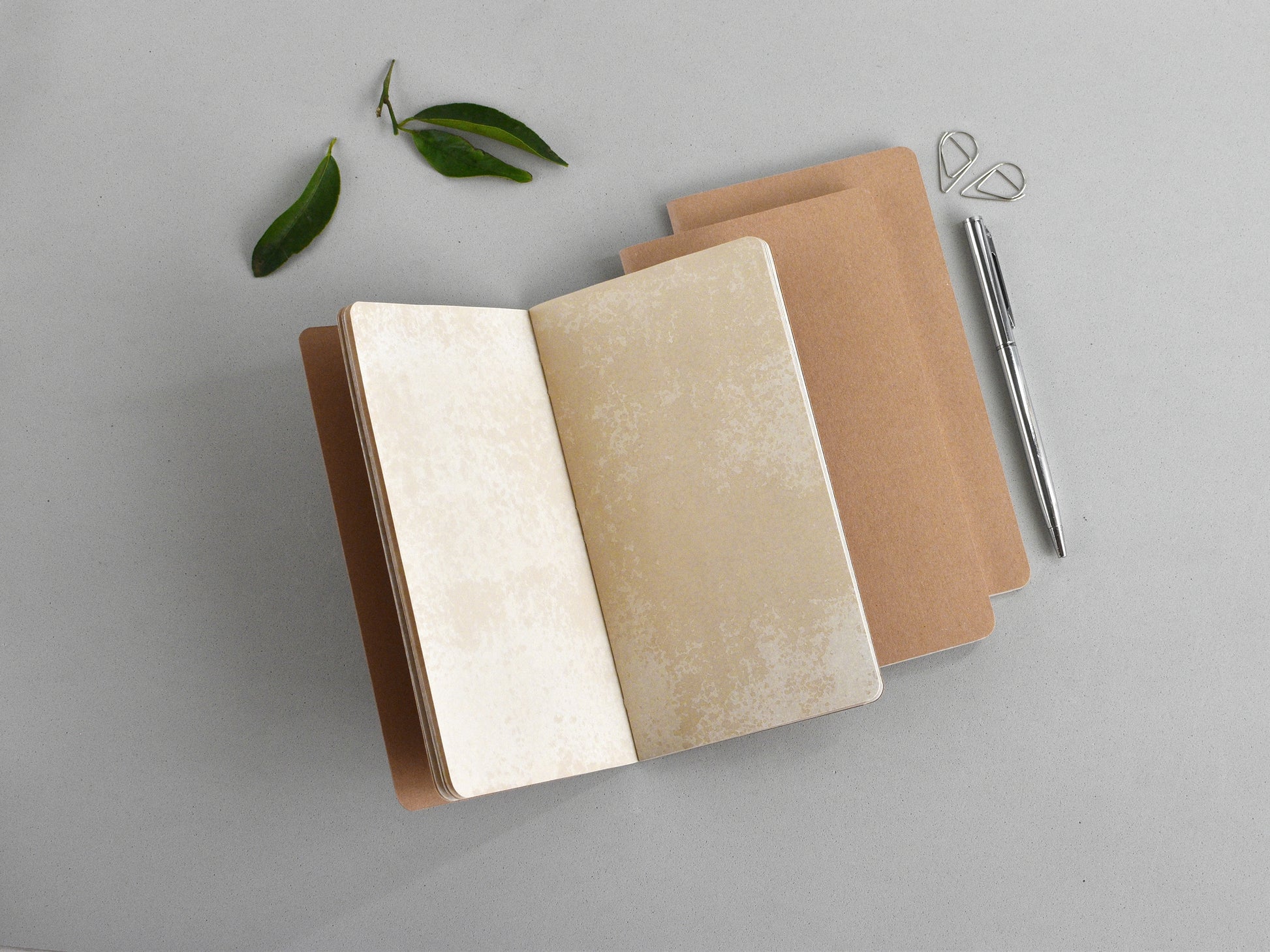 Vintage styled Traveller's Notebook inserts