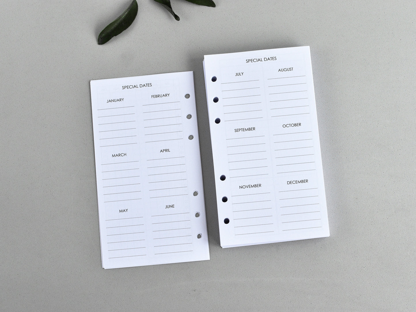 Ring Planner Inserts - Monthly And Weekly Notebook Refill (Personal size) / P02
