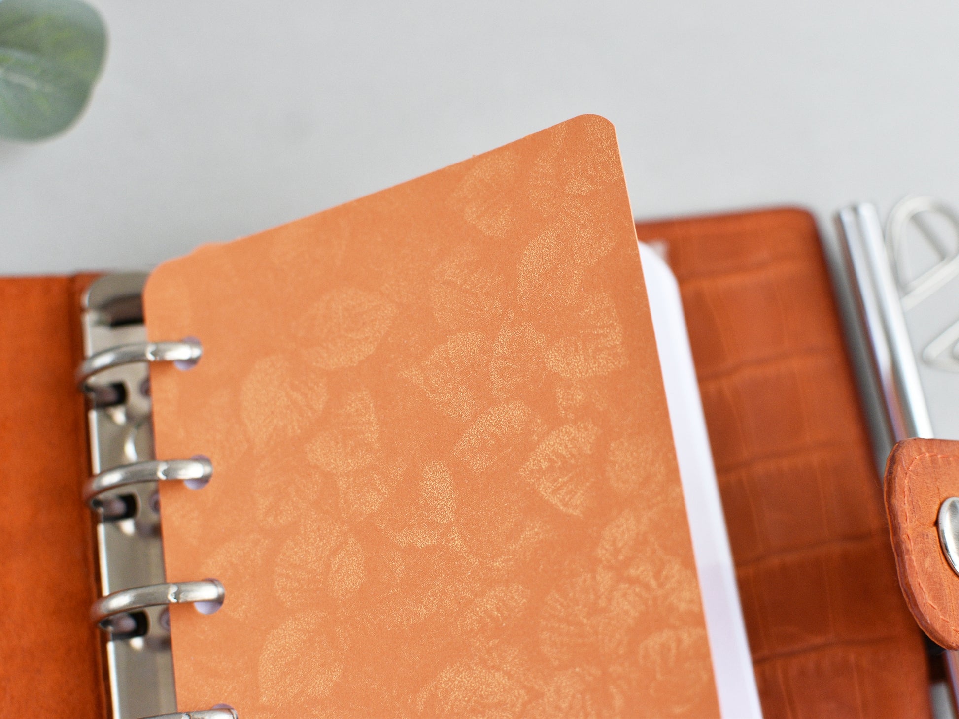 Dividers for ring notebook