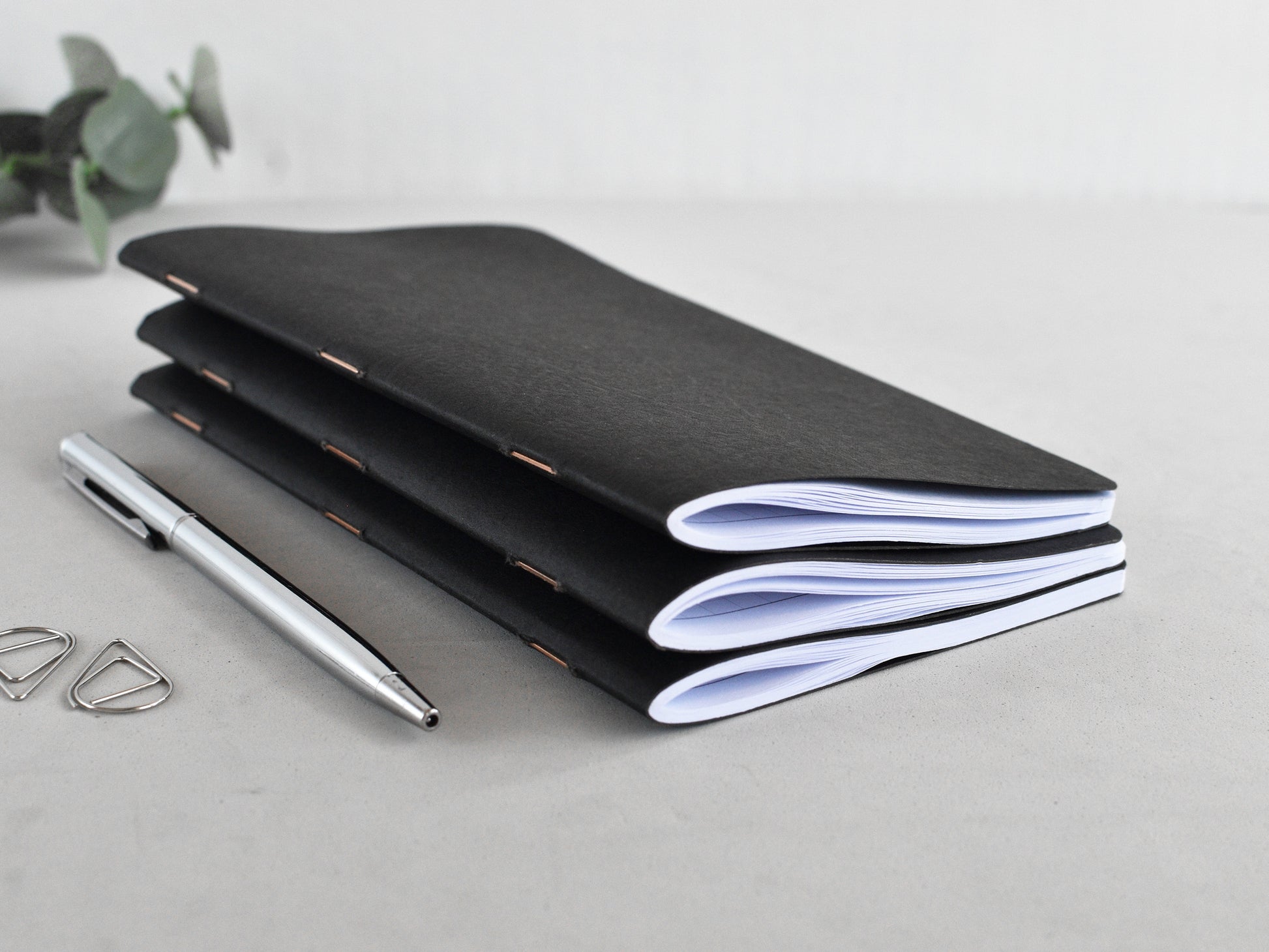 Set of 3 inserts for Traveller's notebook Regular size, black cover