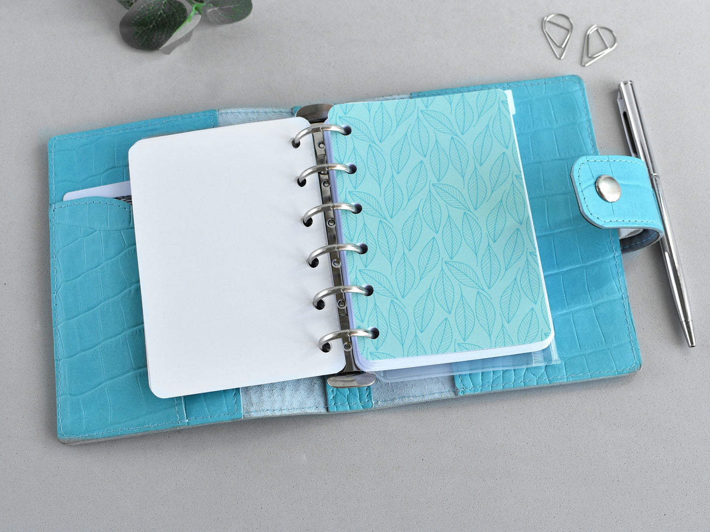 Blue divider for pocket agenda