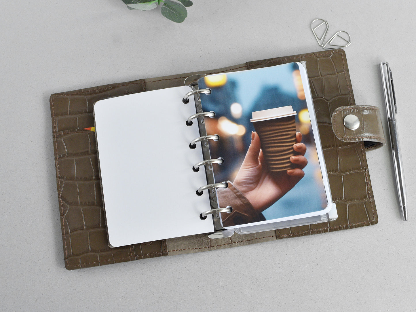 Set of dividers for ring planners