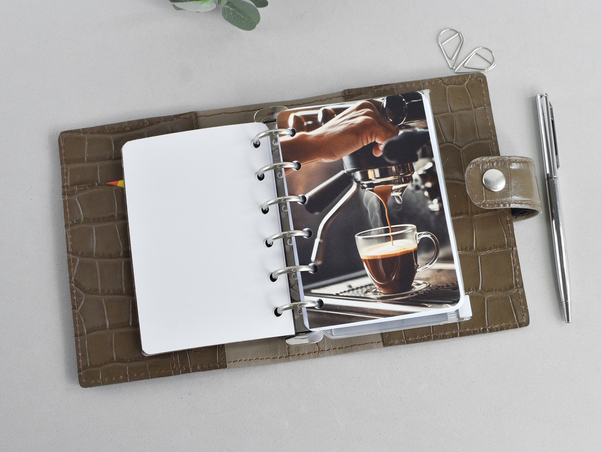 Coffee divider for ring notebook