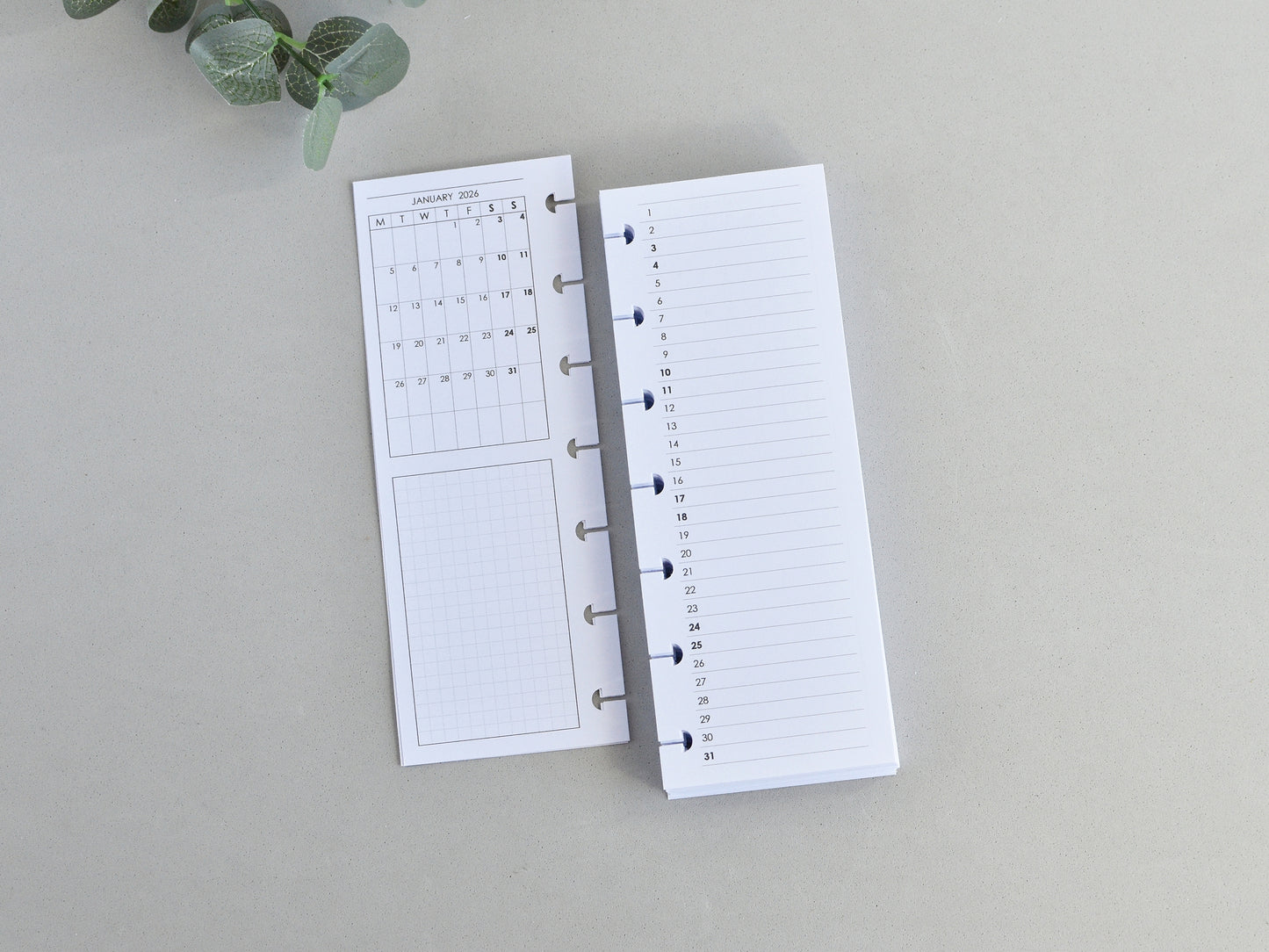 Monthly and Weekly Inserts - Disc Planner Refill (HP Skinny Mini Size)