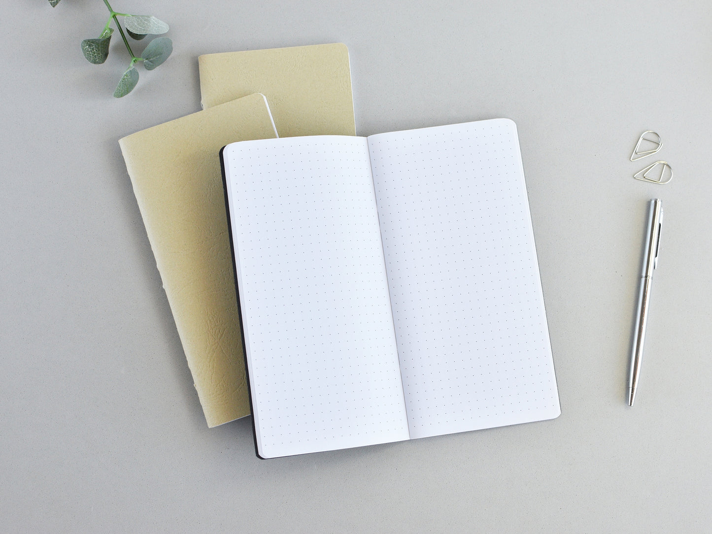 Traveler notebook inserts dotted pages