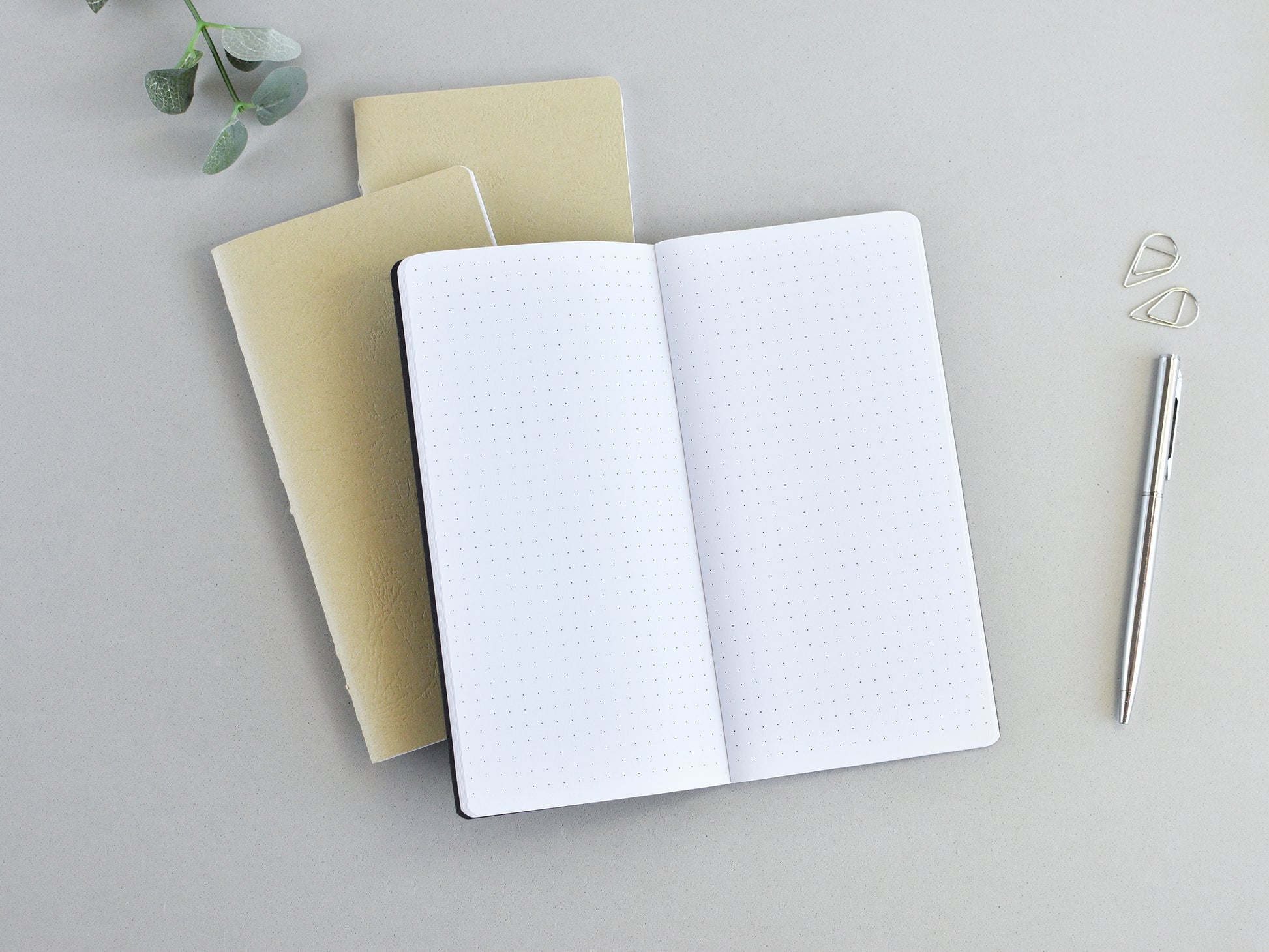 Traveler notebook inserts dotted pages