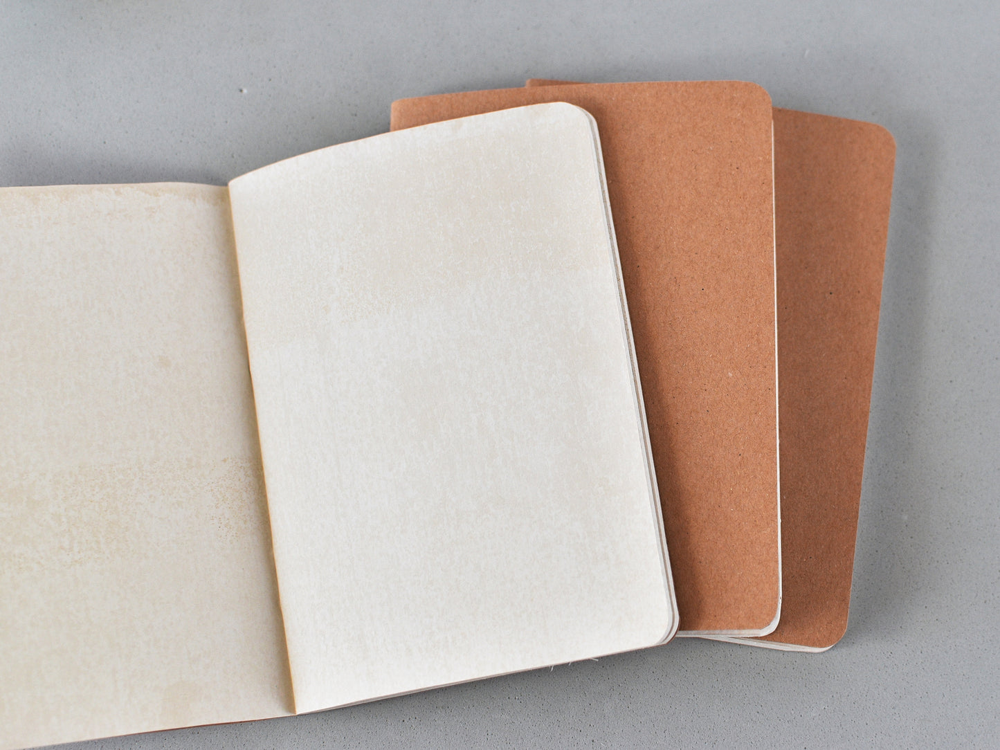 Antique paper journals passport size