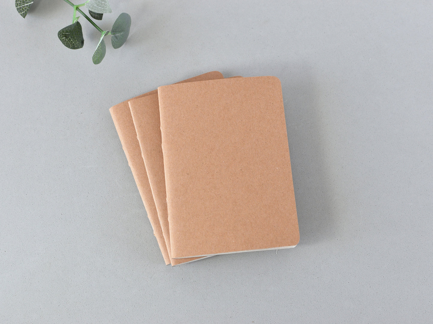 Travel Journal refill Passport size
