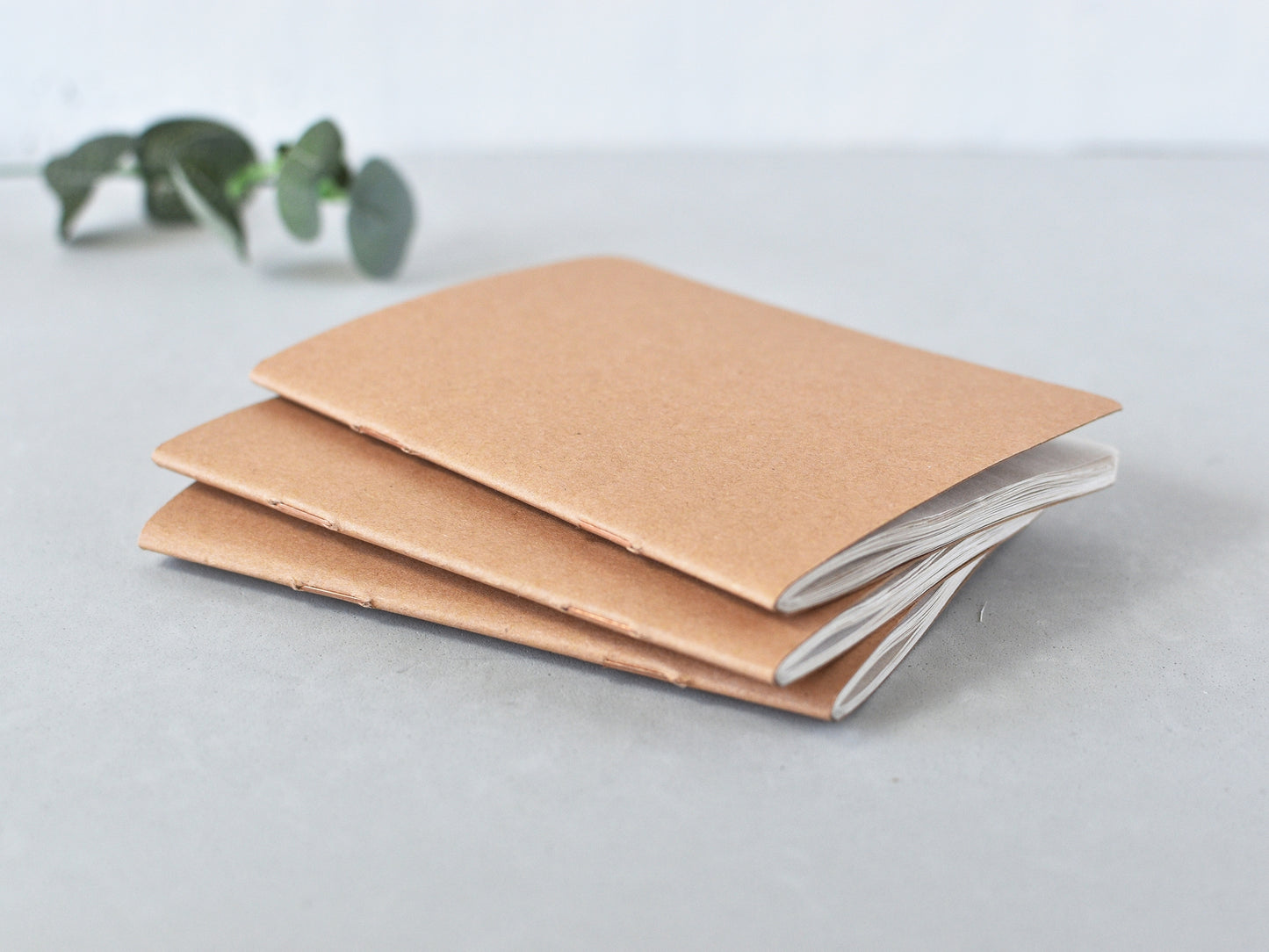 Traveler's Notebook Inserts passport size