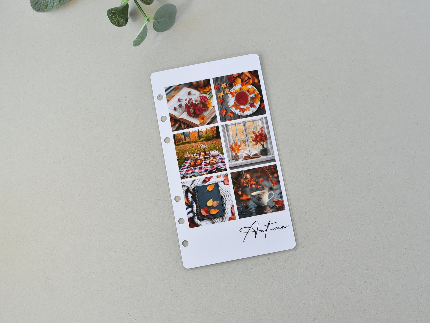 Planner Dashboards - Ring Notebook Dividers (Personal Size)