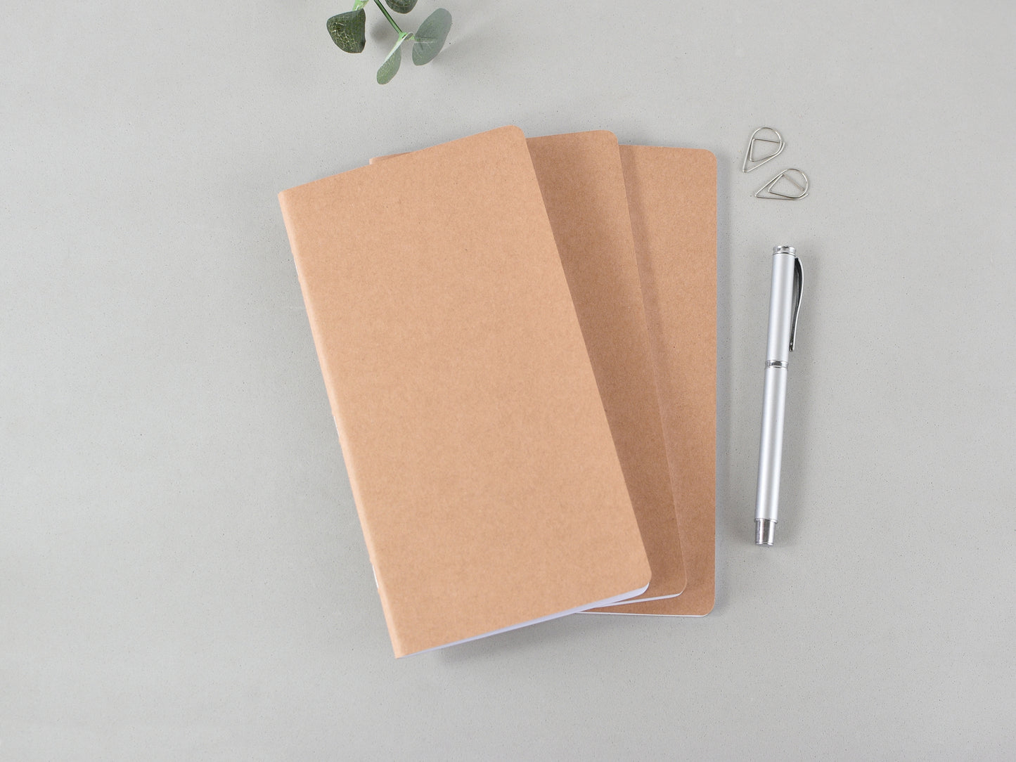 Set of 3 inserts for Traveller's notebook Regular size
