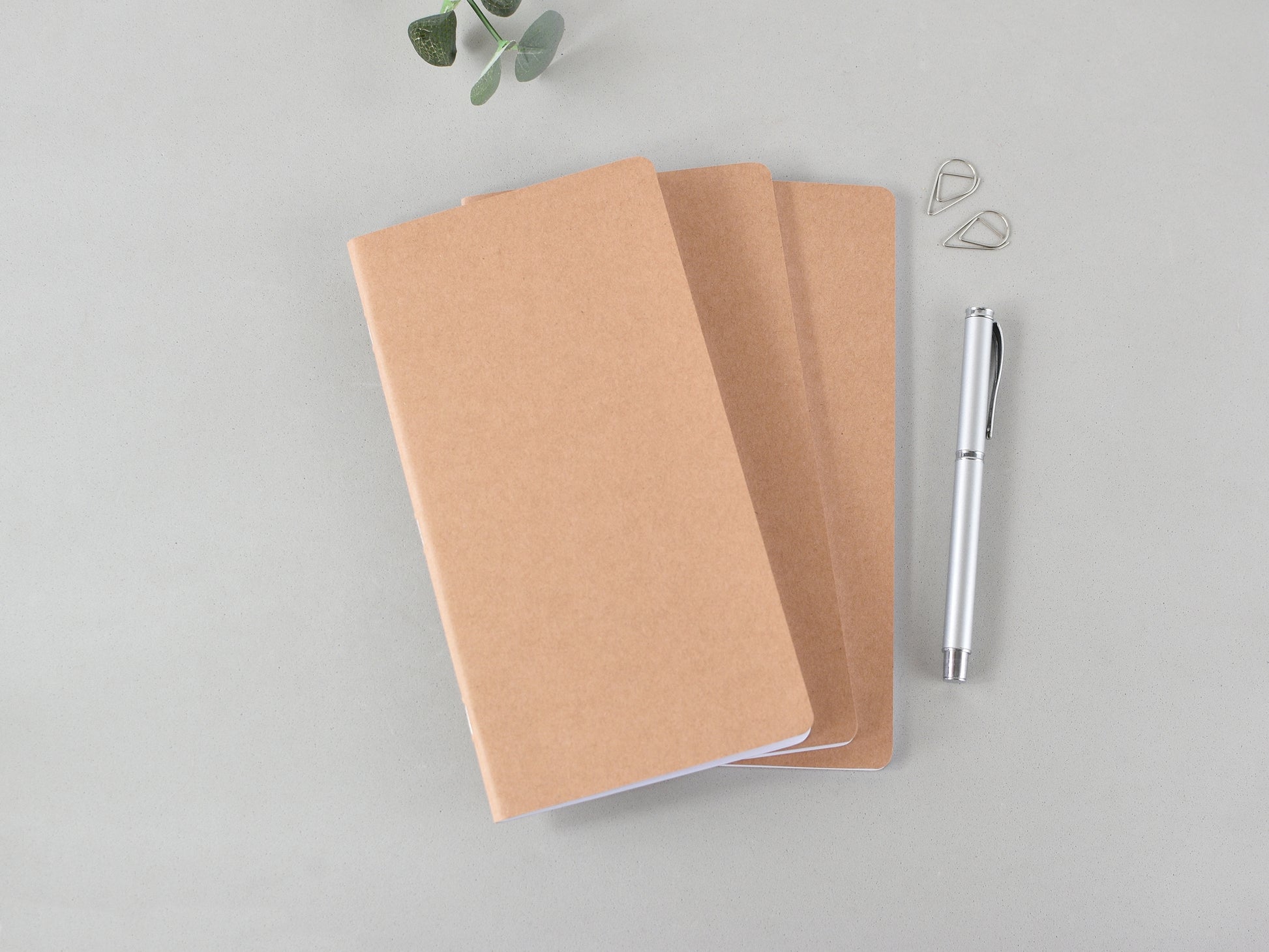 Set of 3 inserts for Traveller's notebook Regular size