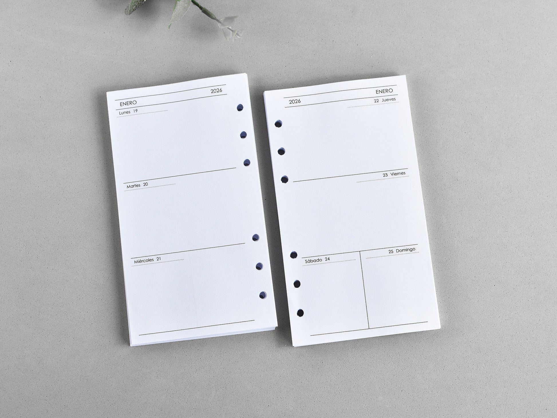 Weekly inserts Spanish lenguage