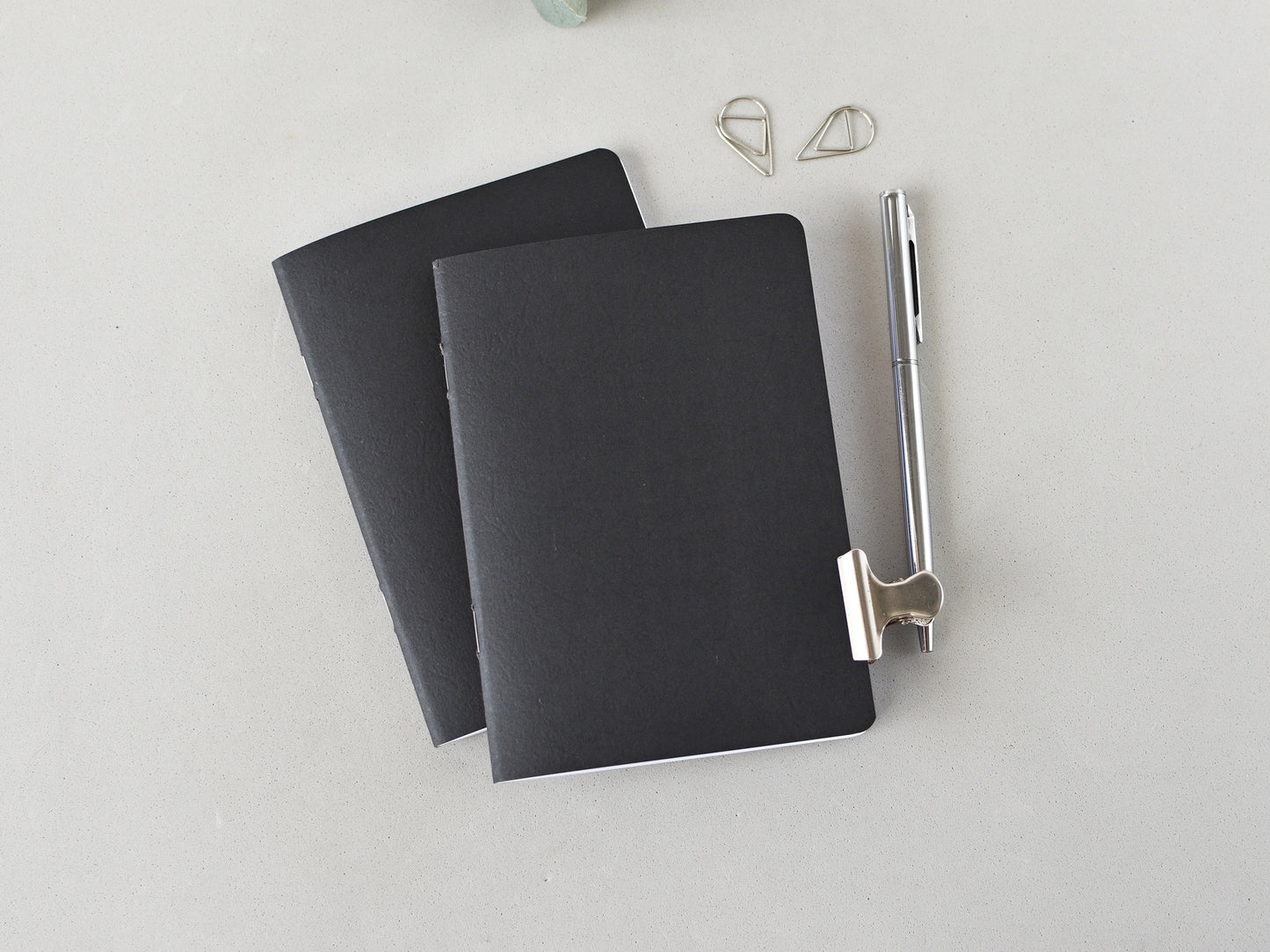 Daily Planner Inserts - Traveler's Notebook (Passport Size) / Tn-Pas 20
