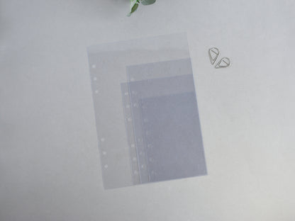 Clear plastic sheets for ring journals