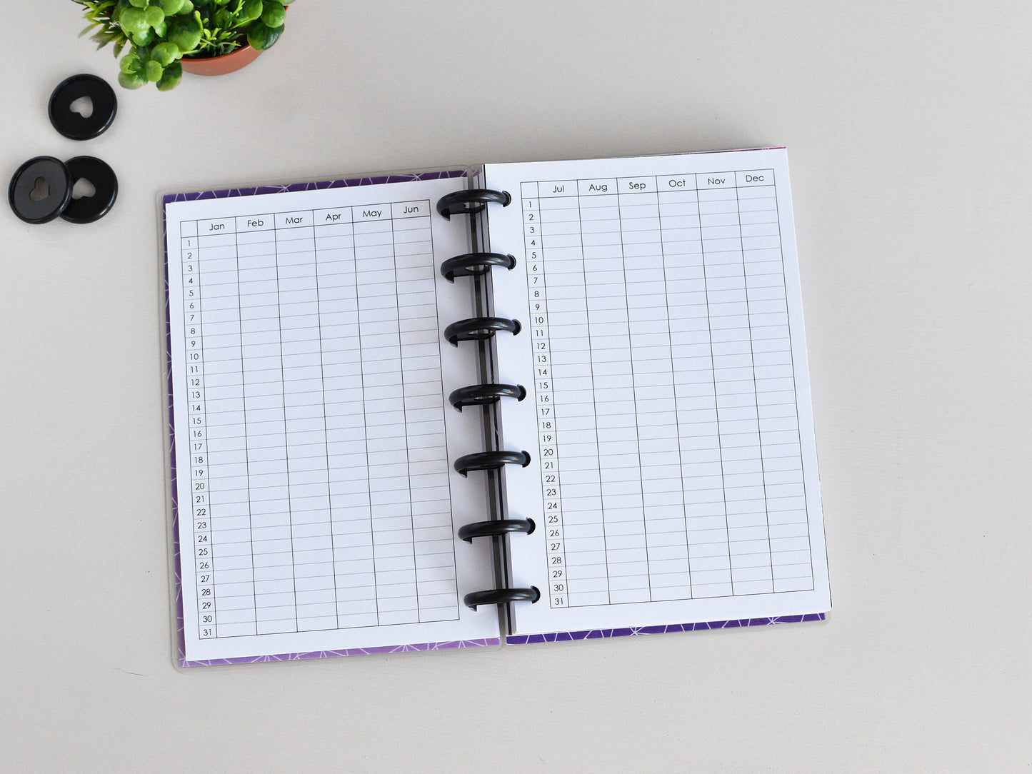 Discbound planner (HP Skinny Mini Size)