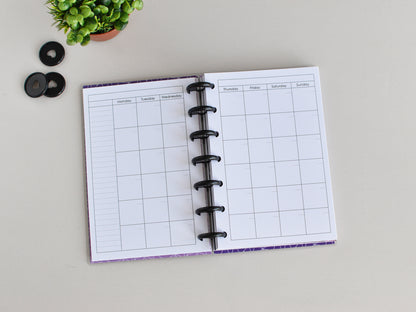 Disc Planner Inserts Bundle - Monthly And Weekly Refill (HP Mini Size) / M-04