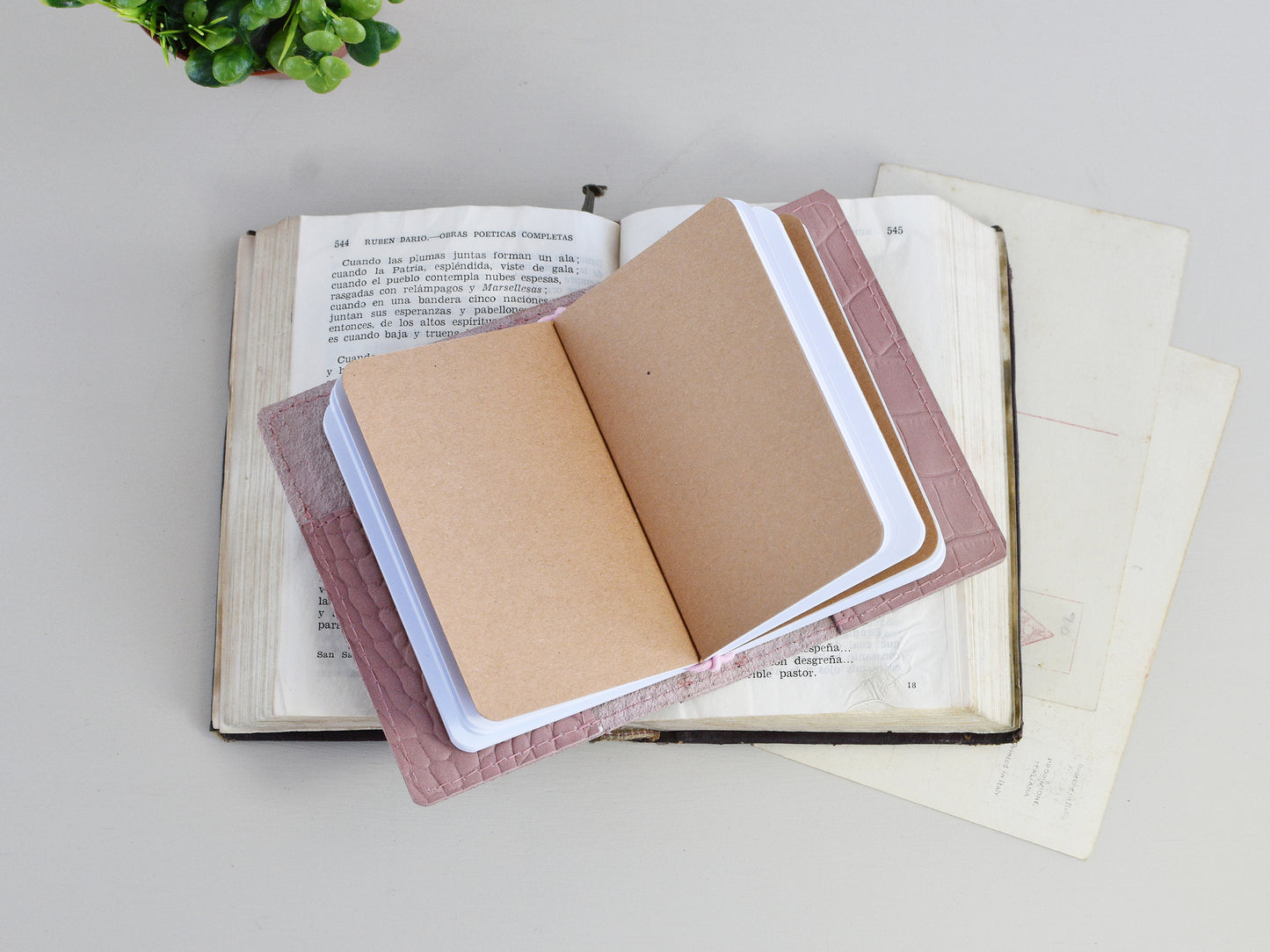 Small Traveler's Notebook With Inserts (Nano size)