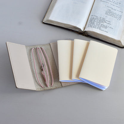 Traveler's Notebook With Inserts (Card Size)