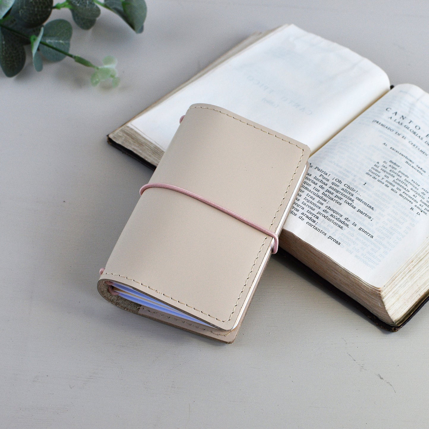 Traveler's Notebook With Inserts (Card Size)