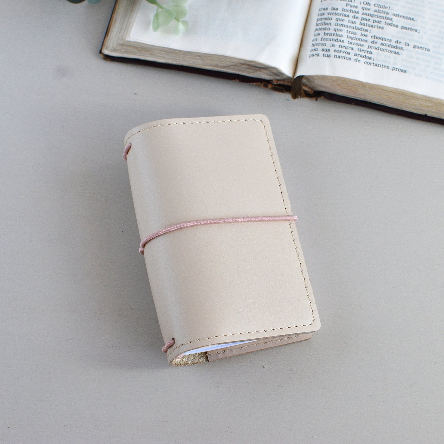 Traveler's Notebook With Inserts (Card Size)