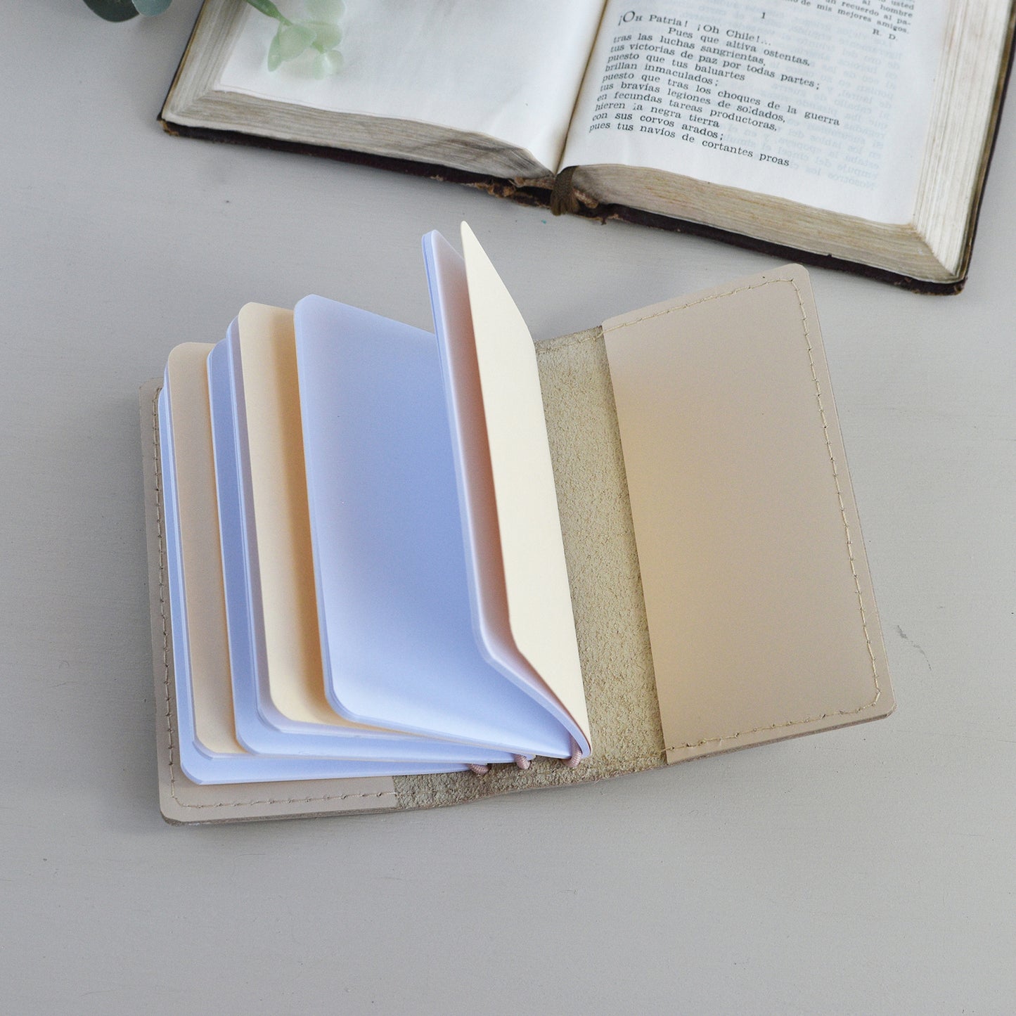Traveler's Notebook With Inserts (Card Size)