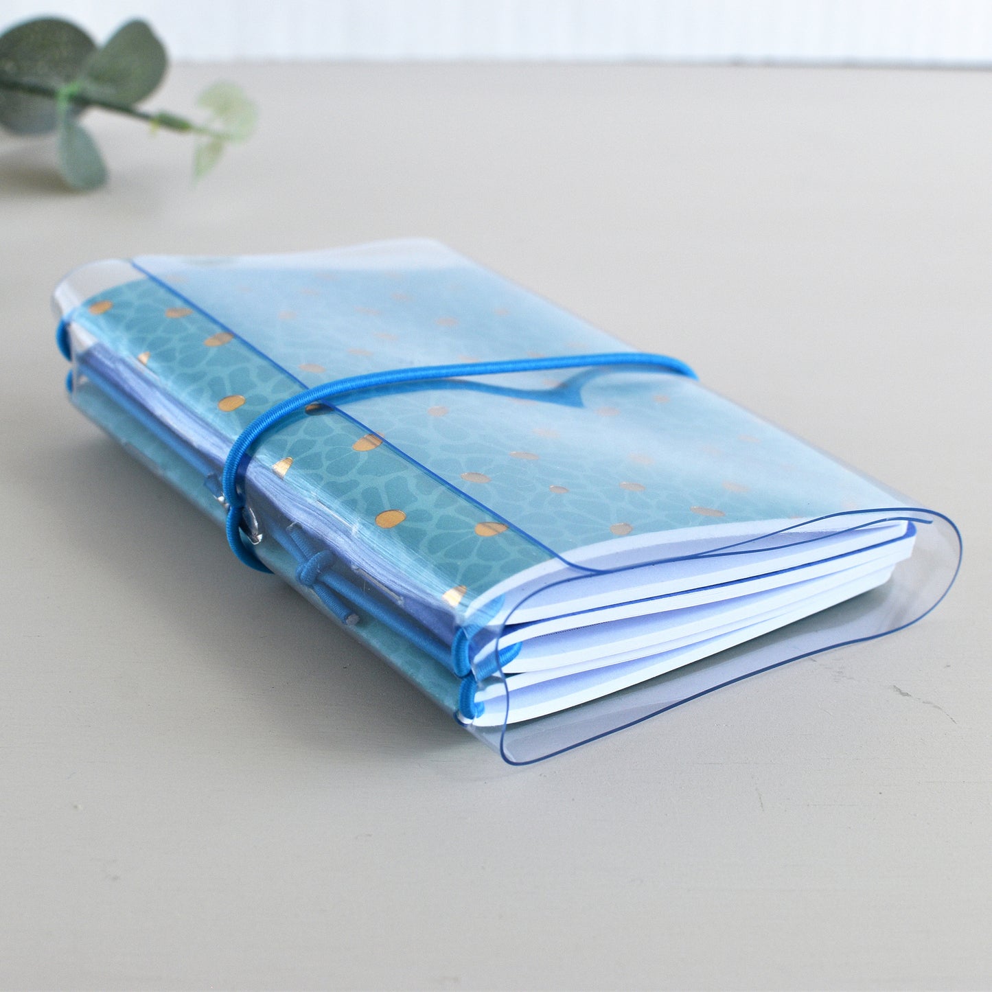 Traveller's Notebook With Clear PVC Cover (Passport Size)