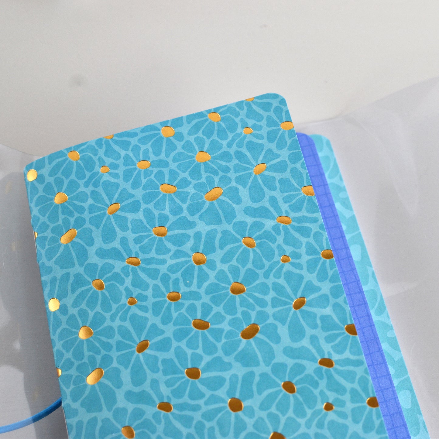 Traveller's Notebook With Clear PVC Cover (Passport Size)