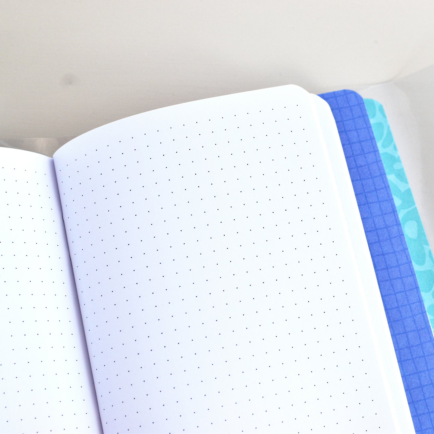 Traveller's Notebook With Clear PVC Cover (Passport Size)