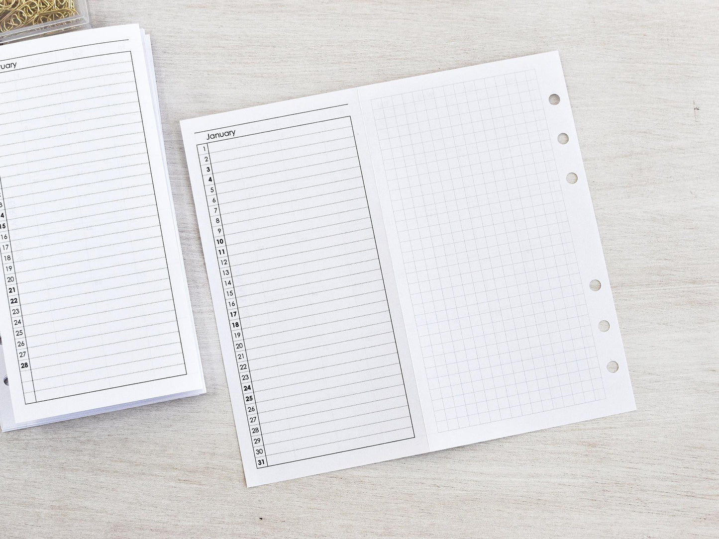 Monthly Fold Out Inserts for Ring Planner (Personal Size) / P20